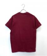 Mountain Mania/SHORT SLEEVE TEE 'ONE POINT'